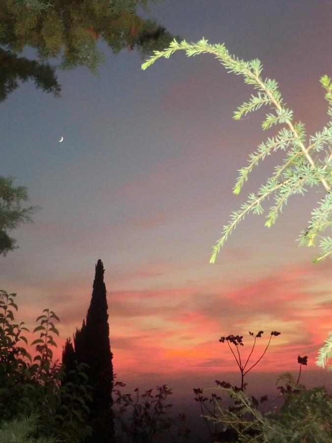 Il Giardino Di Alisa Acomodação com café da manhã Tivoli Exterior foto